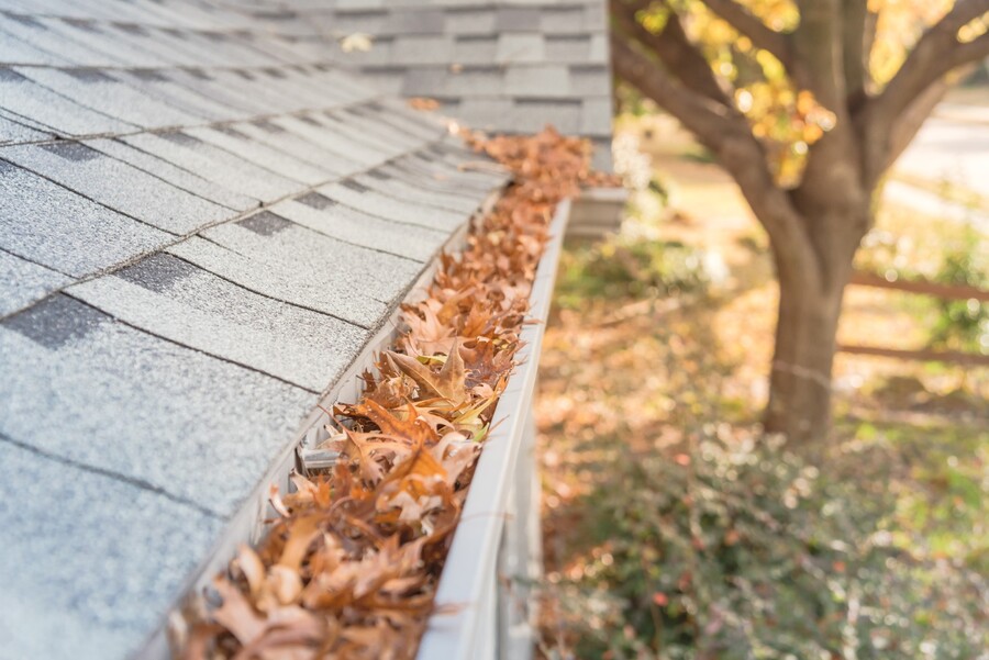 Gutter Cleaning by Glintora Cleaning Windows