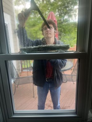Window Cleaning in Livonia, MI (2)