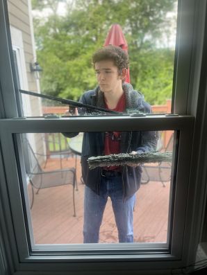 Window Cleaning in Livonia, MI (1)