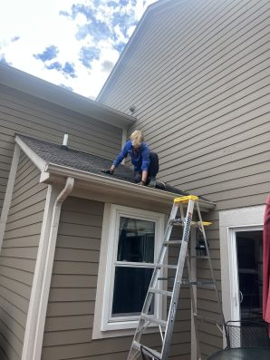 Gutter Cleaning in Livonia, MI (2)